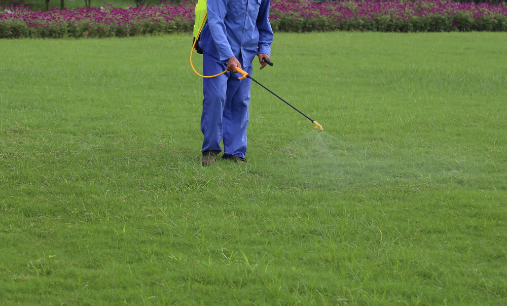 weed-and-feed